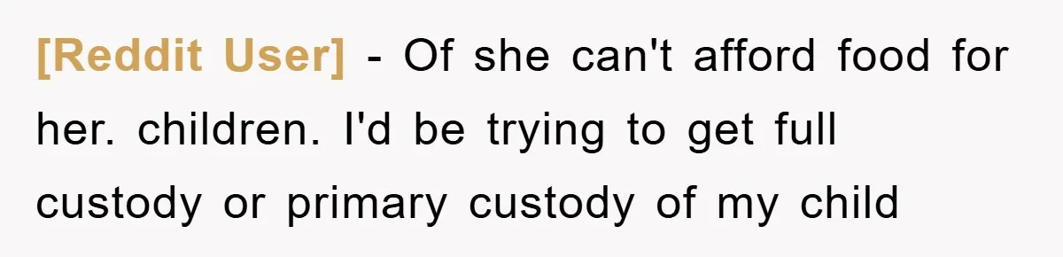 [Reddit User] - Of she can't afford food for her. children. I'd be trying to get full custody or primary custody of my child