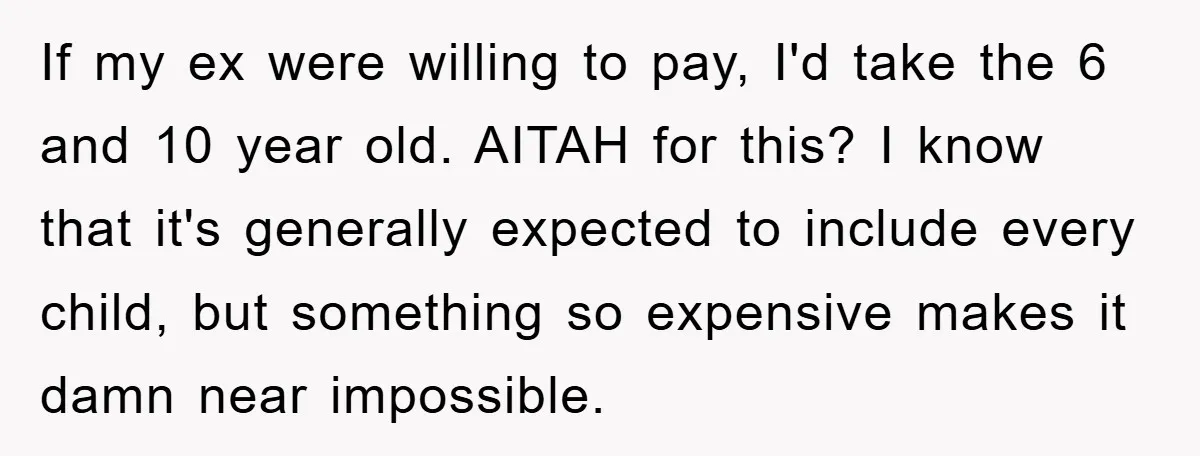 If my ex were willing to pay, I'd take the 6 and 10 year old. AITAH for this? I know that it's generally expected to include every child, but something...