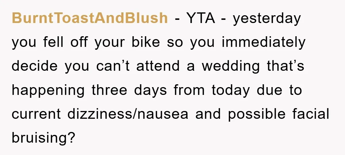 BurntToastAndBlush - YTA - yesterday you fell off your bike so you immediately decide you can’t attend a wedding that’s happening three days from today due to current dizziness/nausea and...