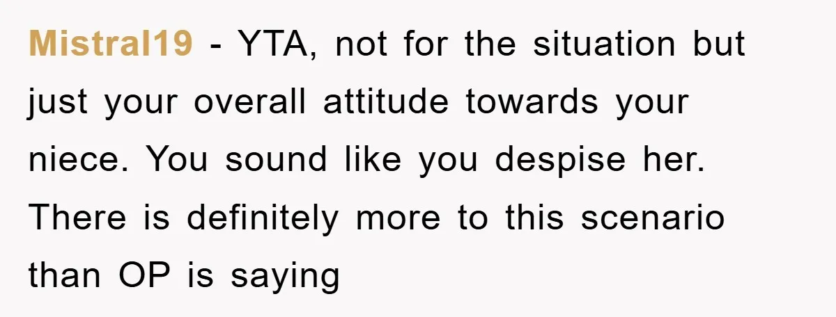 Mistral19 - YTA, not for the situation but just your overall attitude towards your niece. You sound like you despise her. There is definitely more to this scenario than OP...