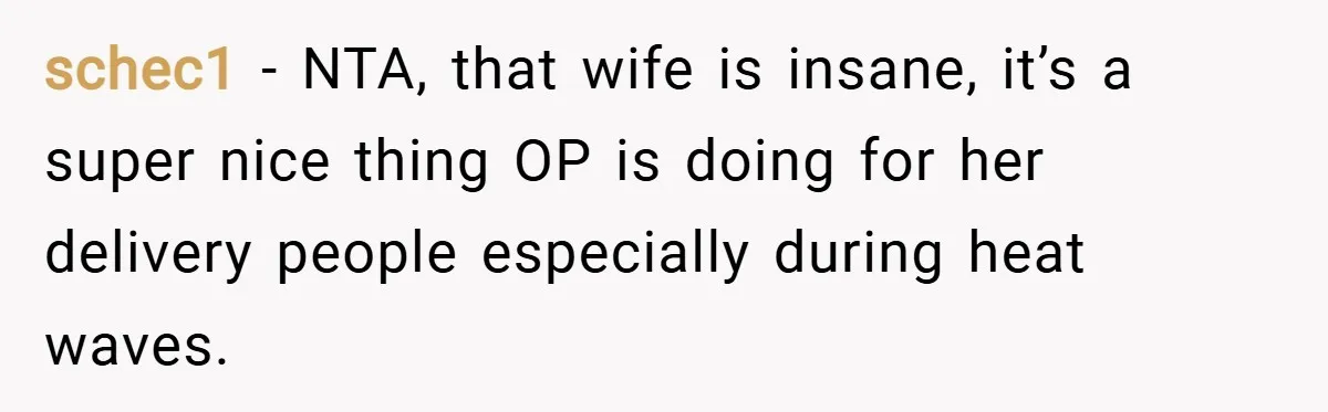 schec1 − NTA, that wife is insane, it’s a super nice thing OP is doing for her delivery people especially during heat waves.