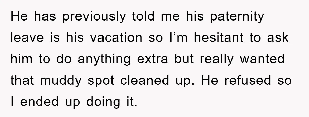 He has previously told me his paternity leave is his vacation so I’m hesitant to ask him to do anything extra but really wanted that muddy spot cleaned up. He...