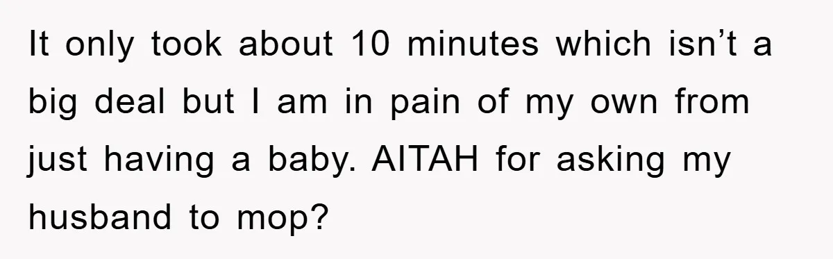 It only took about 10 minutes which isn’t a big deal but I am in pain of my own from just having a baby. AITAH for asking my husband to...