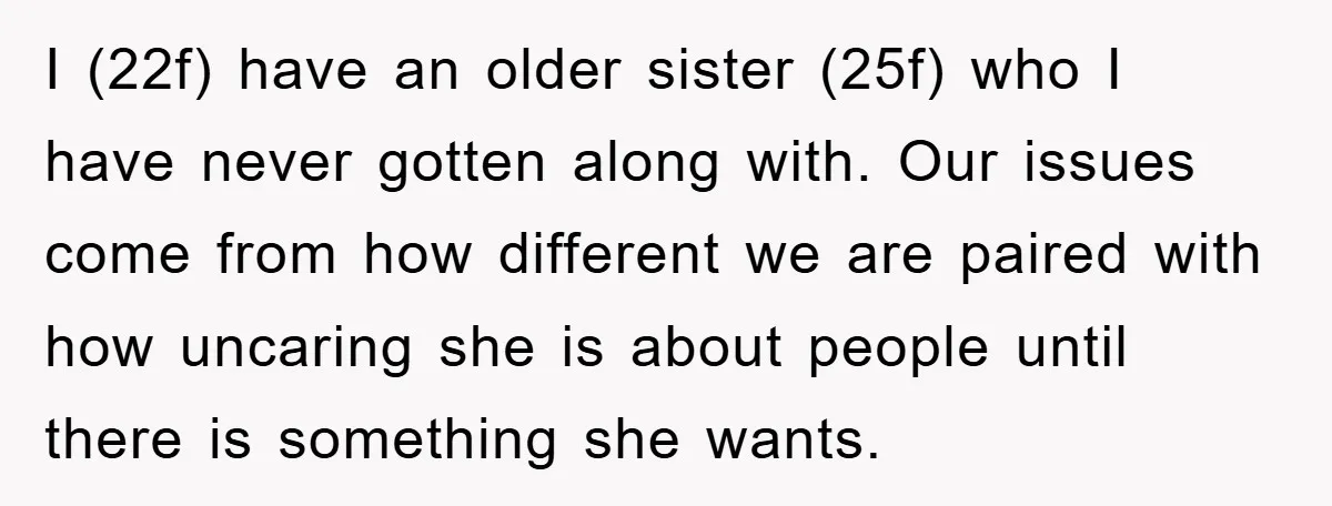 I (22f) have an older sister (25f) who I have never gotten along with. Our issues come from how different we are paired with how uncaring she is about people...