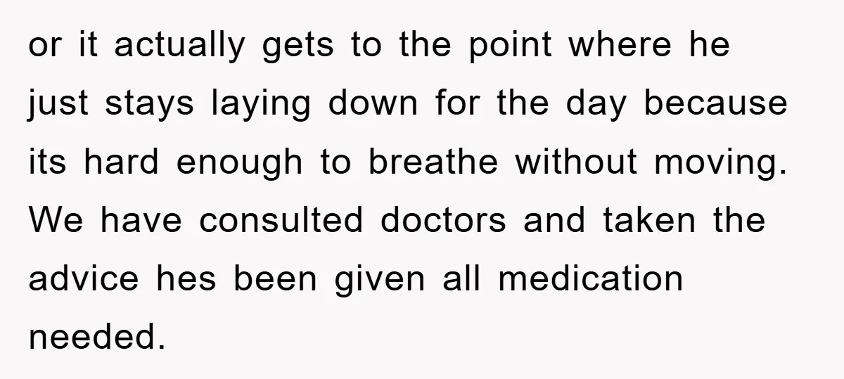 or it actually gets to the point where he just stays laying down for the day because its hard enough to breathe without moving. We have consulted doctors and taken...