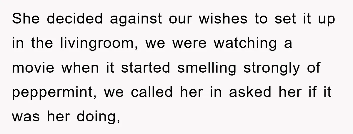 She decided against our wishes to set it up in the livingroom, we were watching a movie when it started smelling strongly of peppermint, we called her in asked her...