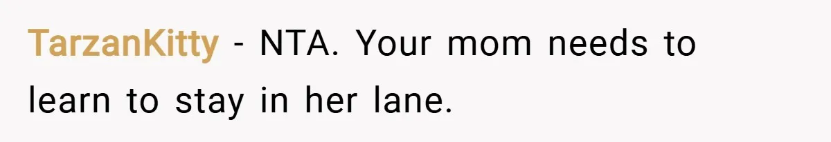 TarzanKitty − NTA. Your mom needs to learn to stay in her lane.