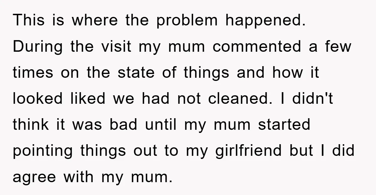 This is where the problem happened. During the visit my mum commented a few times on the state of things and how it looked liked we had not cleaned. I...