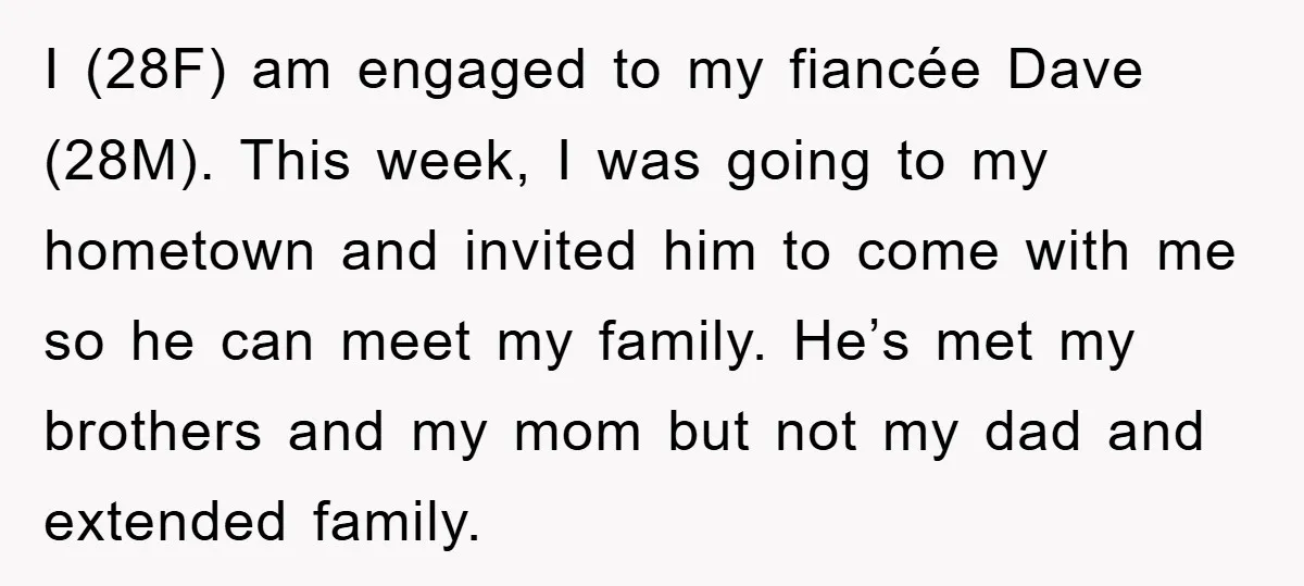 I (28F) am engaged to my fiancée Dave (28M). This week, I was going to my hometown and invited him to come with me so he can meet my family....