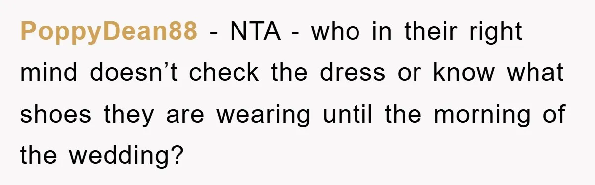 PoppyDean88 − NTA - who in their right mind doesn’t check the dress or know what shoes they are wearing until the morning of the wedding?