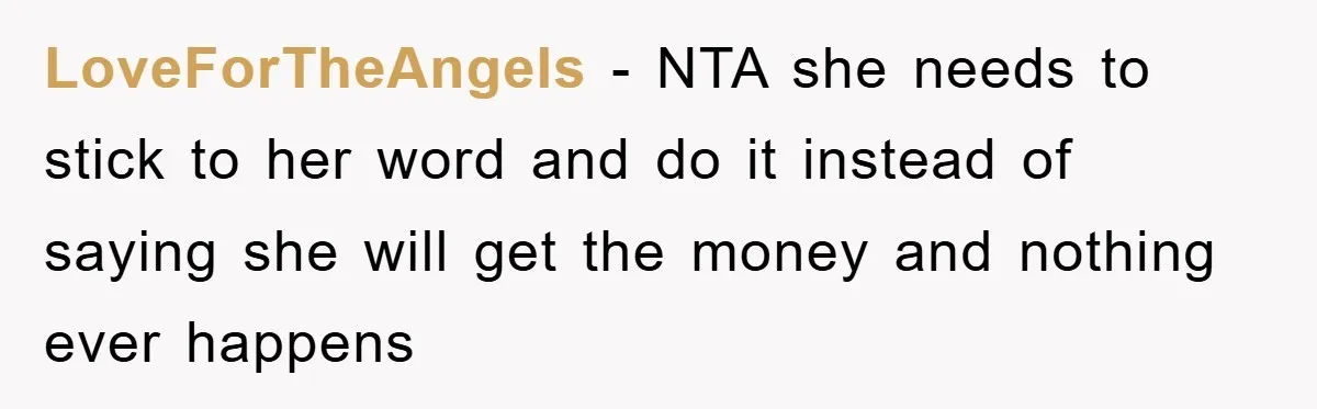LoveForTheAngels − NTA she needs to stick to her word and do it instead of saying she will get the money and nothing ever happens