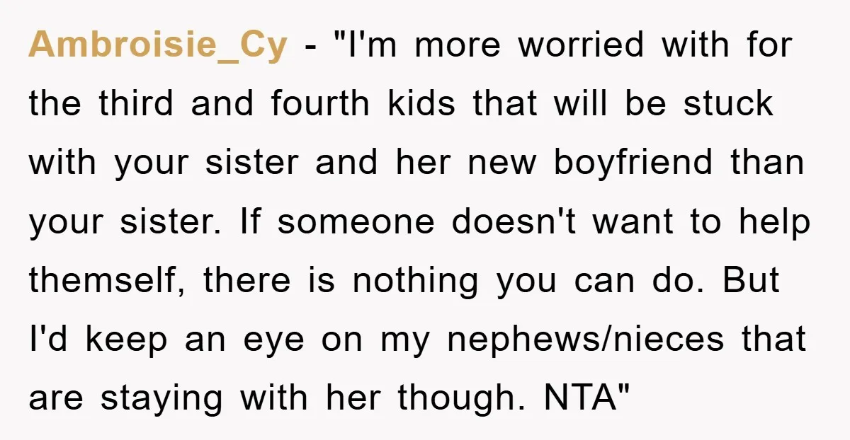 Ambroisie_Cy - "I'm more worried with for the third and fourth kids that will be stuck with your sister and her new boyfriend than your sister. If someone doesn't want...