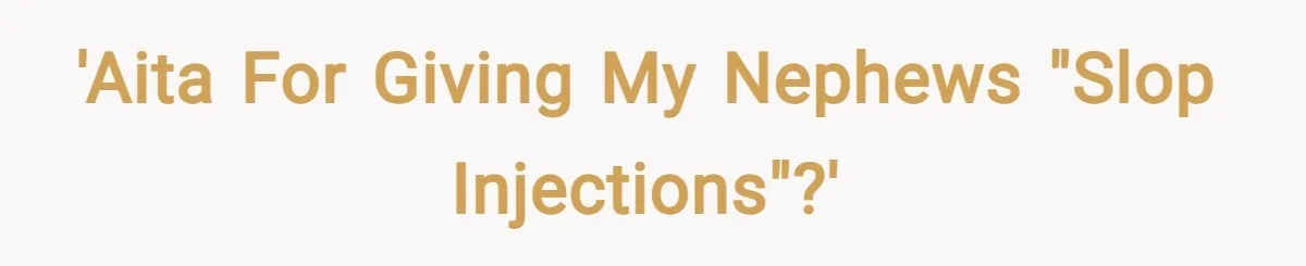 'AITA For giving my nephews "slop injections"?'