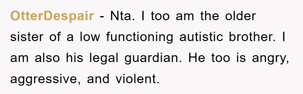 OtterDespair − Nta. I too am the older sister of a low functioning autistic brother. I am also his legal guardian. He too is angry, aggressive, and violent.