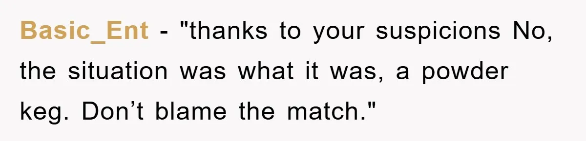 Basic_Ent - "thanks to your suspicions No, the situation was what it was, a powder keg. Don’t blame the match."