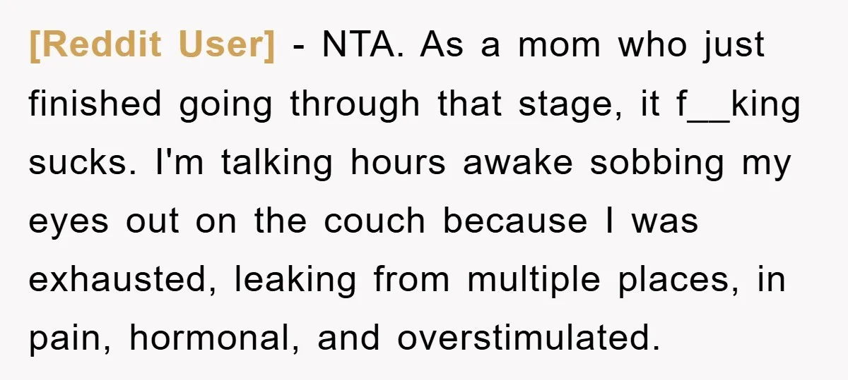 [Reddit User] − NTA. As a mom who just finished going through that stage, it f__king sucks. I'm talking hours awake sobbing my eyes out on the couch because I...