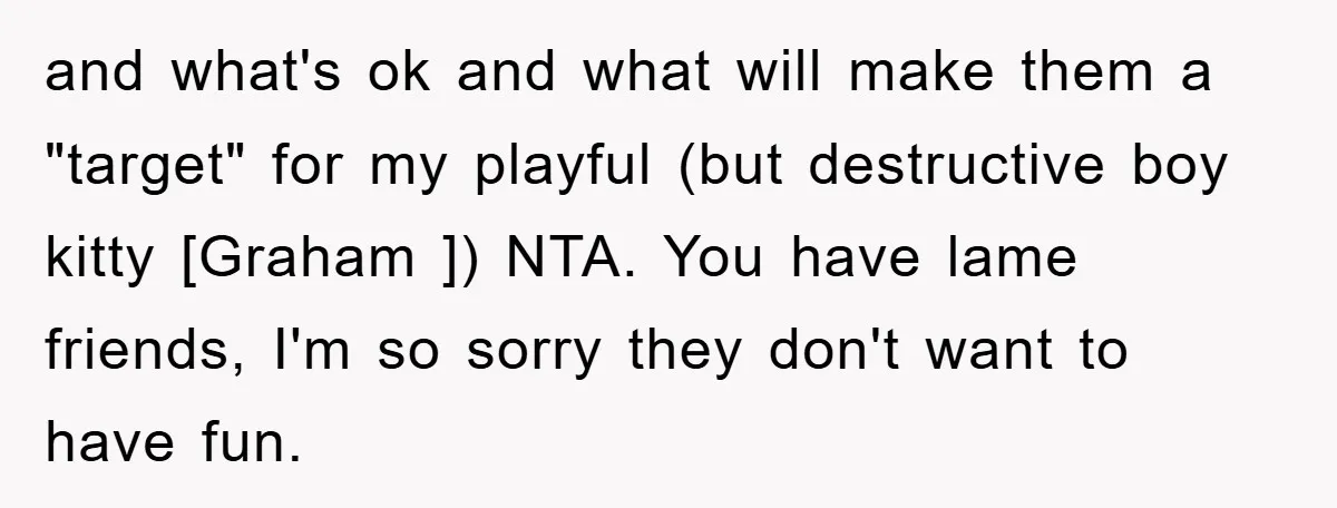 and what's ok and what will make them a "target" for my playful (but destructive boy kitty [Graham ]) NTA. You have lame friends, I'm so sorry they don't want...