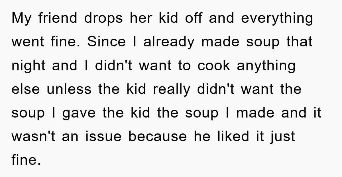 My friend drops her kid off and everything went fine. Since I already made soup that night and I didn't want to cook anything else unless the kid really didn't...