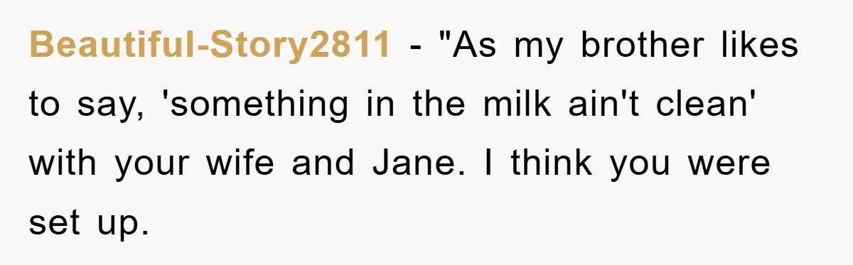 Beautiful-Story2811 - "As my brother likes to say, 'something in the milk ain't clean' with your wife and Jane. I think you were set up.