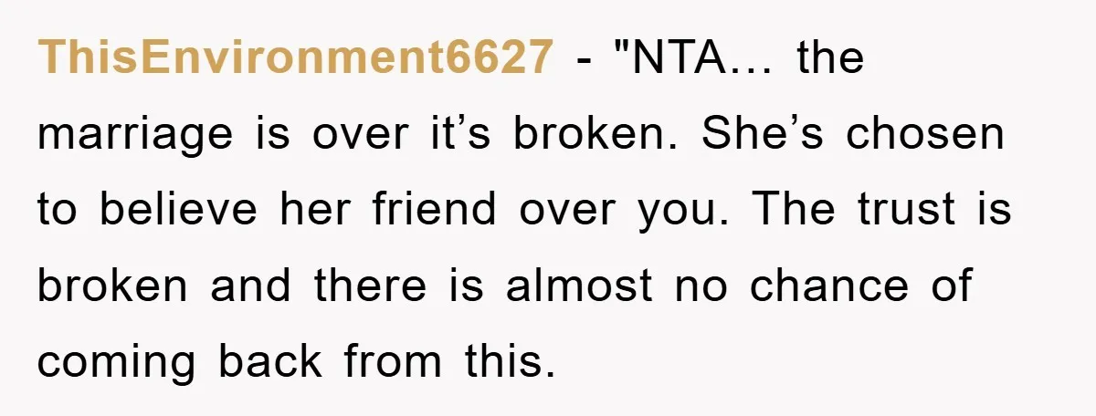 ThisEnvironment6627 - "NTA… the marriage is over it’s broken. She’s chosen to believe her friend over you. The trust is broken and there is almost no chance of coming back...