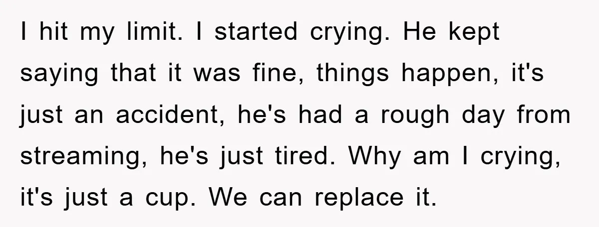 I hit my limit. I started crying. He kept saying that it was fine, things happen, it's just an accident, he's had a rough day from streaming, he's just tired....
