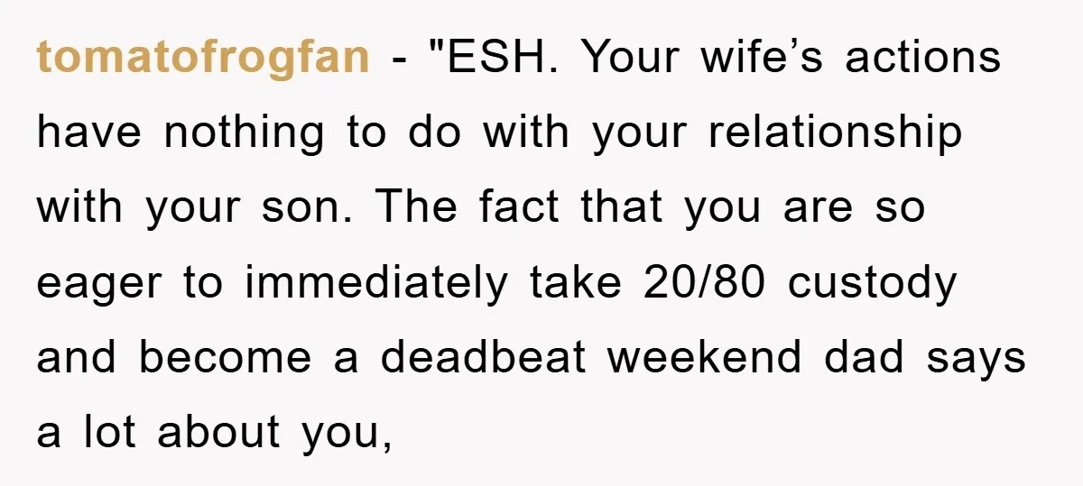tomatofrogfan - "ESH. Your wife’s actions have nothing to do with your relationship with your son. The fact that you are so eager to immediately take 20/80 custody and become...
