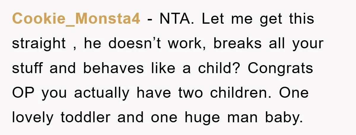 Cookie_Monsta4 − NTA. Let me get this straight , he doesn’t work, breaks all your stuff and behaves like a child? Congrats OP you actually have two children. One lovely...