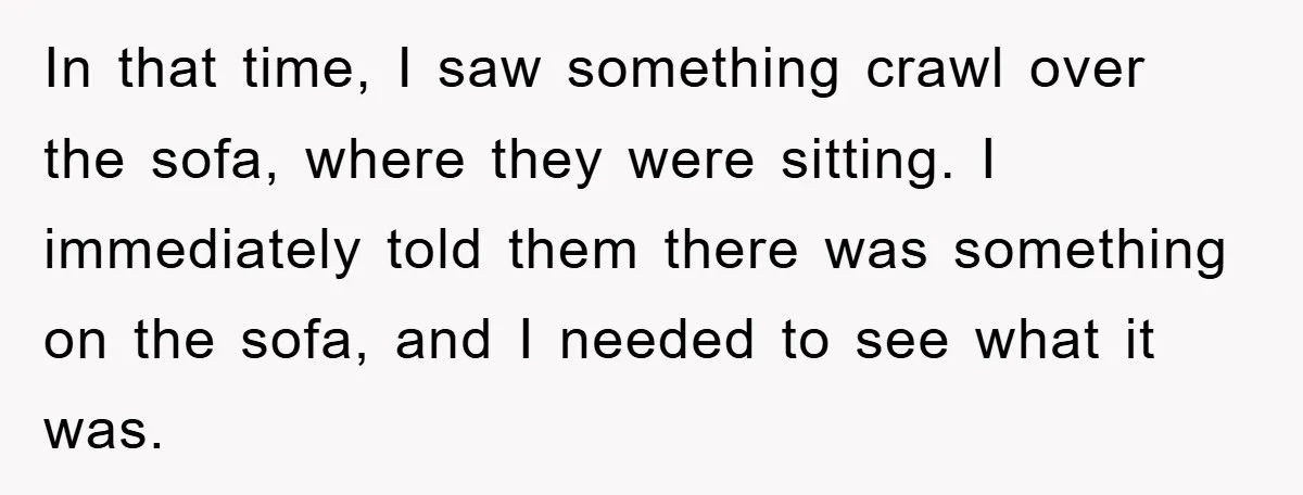 In that time, I saw something crawl over the sofa, where they were sitting. I immediately told them there was something on the sofa, and I needed to see what...