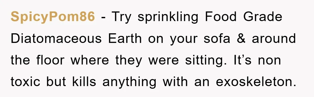 SpicyPom86 − Try sprinkling Food Grade Diatomaceous Earth on your sofa & around the floor where they were sitting. It’s non toxic but kills anything with an exoskeleton.