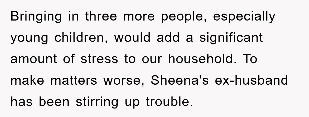 Bringing in three more people, especially young children, would add a significant amount of stress to our household. To make matters worse, Sheena's ex-husband has been stirring up trouble.