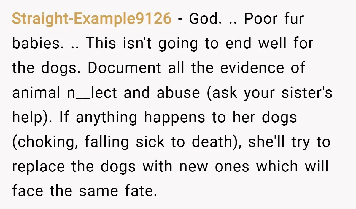 Straight-Example9126 − God. .. Poor fur babies. .. This isn't going to end well for the dogs. Document all the evidence of animal n__lect and abuse (ask your sister's help)....