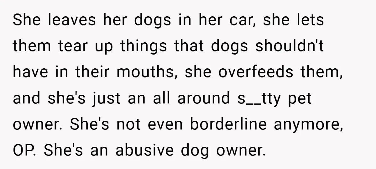 She leaves her dogs in her car, she lets them tear up things that dogs shouldn't have in their mouths, she overfeeds them, and she's just an all around s__tty...