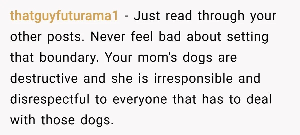 thatguyfuturama1 − Just read through your other posts. Never feel bad about setting that boundary. Your mom's dogs are destructive and she is irresponsible and disrespectful to everyone that has...