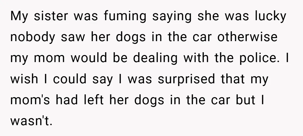 My sister was fuming saying she was lucky nobody saw her dogs in the car otherwise my mom would be dealing with the police. I wish I could say I...