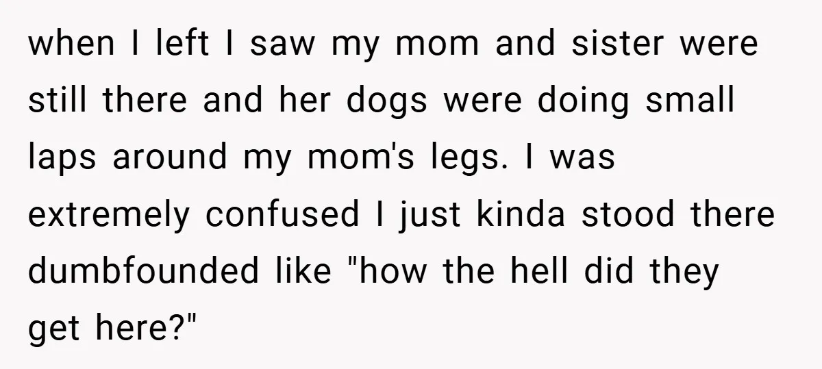 when I left I saw my mom and sister were still there and her dogs were doing small laps around my mom's legs. I was extremely confused I just kinda...