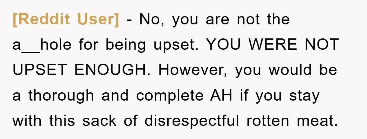[Reddit User] − No, you are not the a__hole for being upset. YOU WERE NOT UPSET ENOUGH. However, you would be a thorough and complete AH if you stay with...