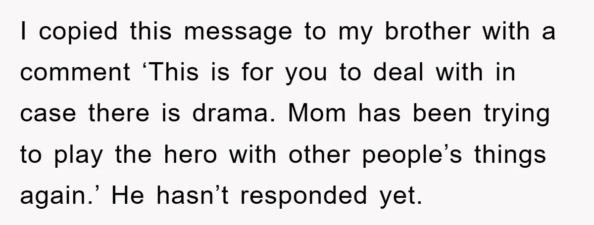 I copied this message to my brother with a comment ‘This is for you to deal with in case there is drama. Mom has been trying to play the hero...