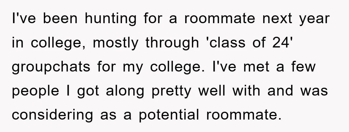 I've been hunting for a roommate next year in college, mostly through 'class of 24' groupchats for my college. I've met a few people I got along pretty well with...
