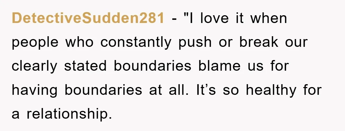DetectiveSudden281 - "I love it when people who constantly push or break our clearly stated boundaries blame us for having boundaries at all. It’s so healthy for a relationship.