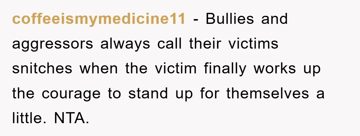 coffeeismymedicine11 − Bullies and aggressors always call their victims snitches when the victim finally works up the courage to stand up for themselves a little. NTA.