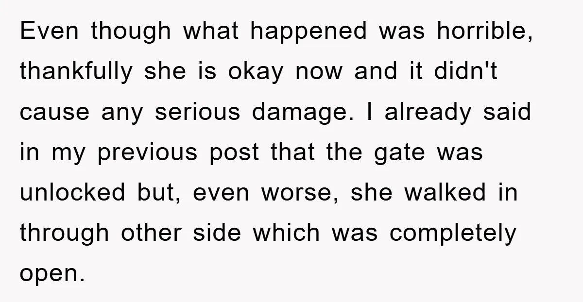 Even though what happened was horrible, thankfully she is okay now and it didn't cause any serious damage. I already said in my previous post that the gate was unlocked...