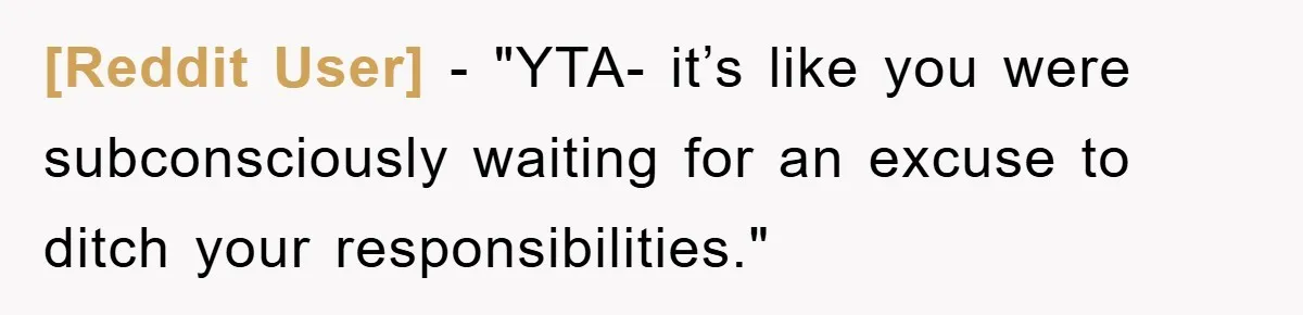 [Reddit User] - "YTA- it’s like you were subconsciously waiting for an excuse to ditch your responsibilities."