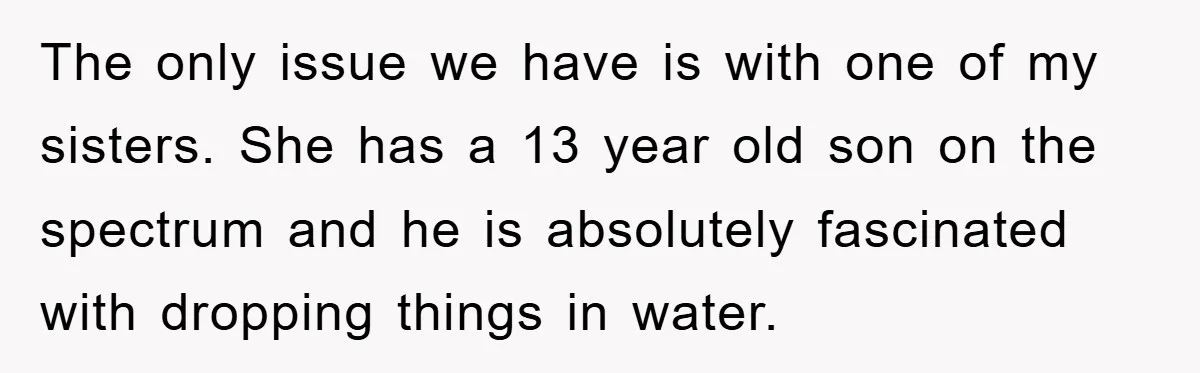 The only issue we have is with one of my sisters. She has a 13 year old son on the spectrum and he is absolutely fascinated with dropping things in...