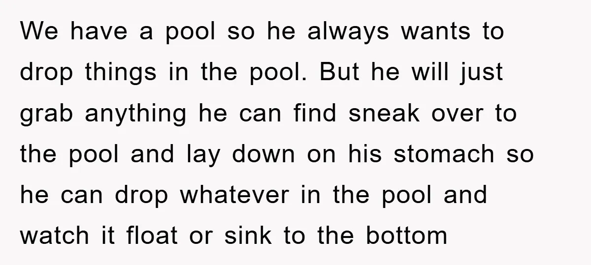 We have a pool so he always wants to drop things in the pool. But he will just grab anything he can find sneak over to the pool and lay...
