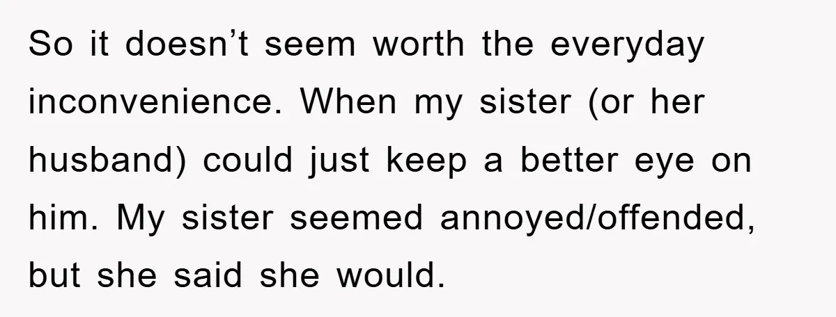 So it doesn’t seem worth the everyday inconvenience. When my sister (or her husband) could just keep a better eye on him. My sister seemed annoyed/offended, but she said she...