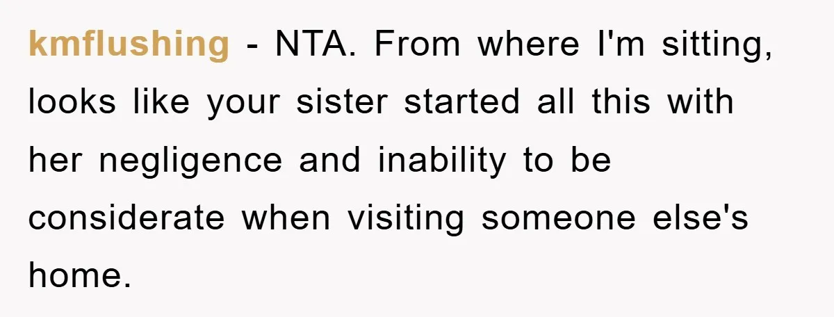 kmflushing − NTA. From where I'm sitting, looks like your sister started all this with her negligence and inability to be considerate when visiting someone else's home.