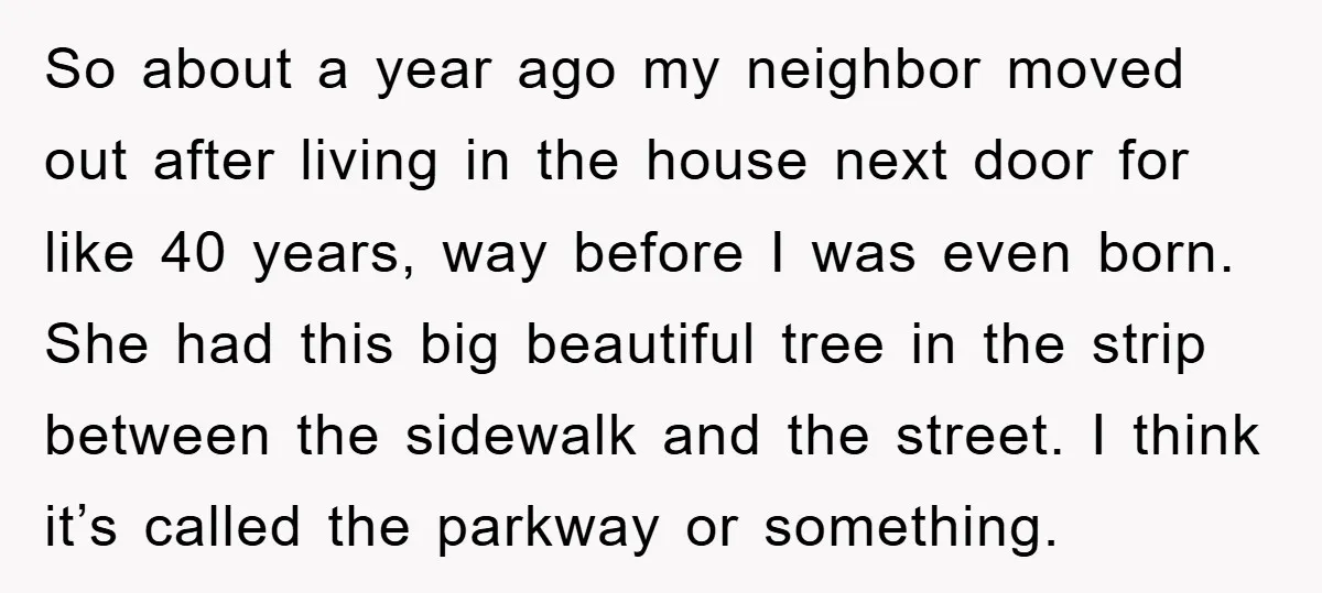 So about a year ago my neighbor moved out after living in the house next door for like 40 years, way before I was even born. She had this big...
