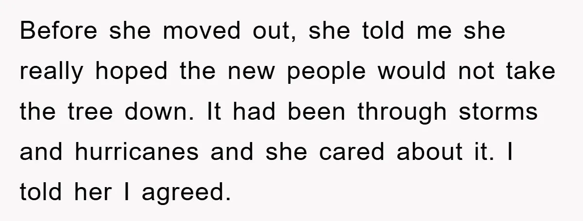 Before she moved out, she told me she really hoped the new people would not take the tree down. It had been through storms and hurricanes and she cared about...