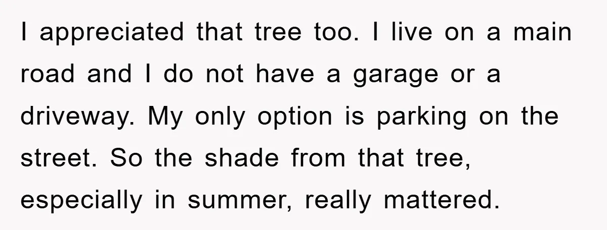 I appreciated that tree too. I live on a main road and I do not have a garage or a driveway. My only option is parking on the street. So...