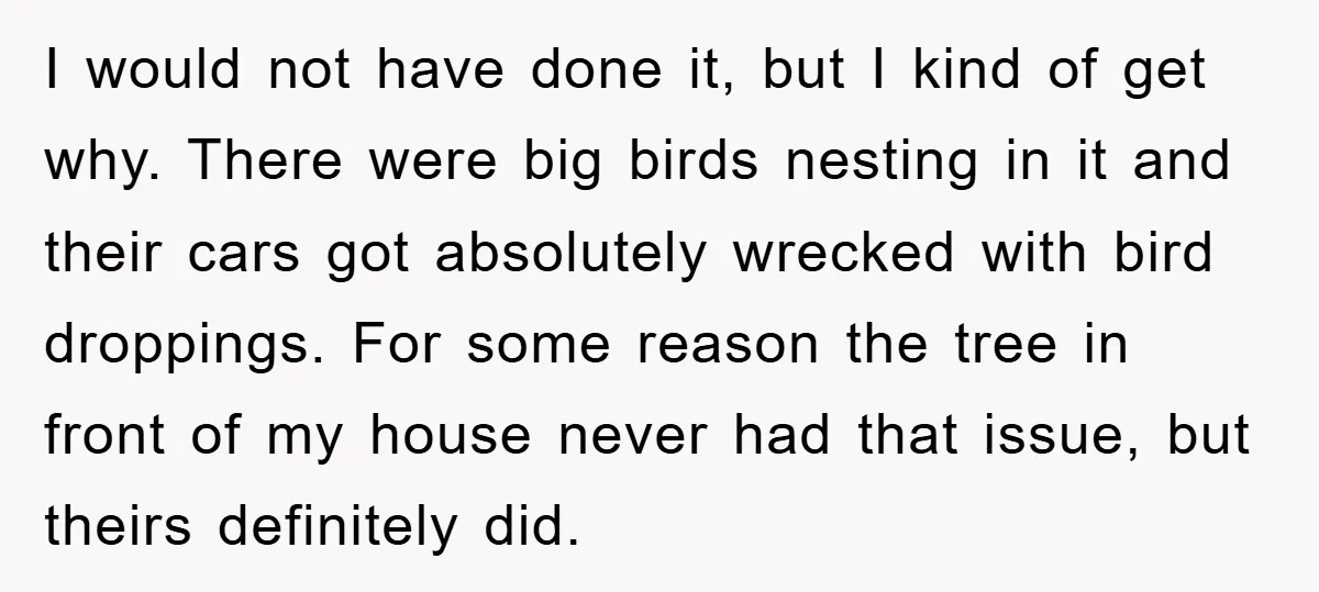 I would not have done it, but I kind of get why. There were big birds nesting in it and their cars got absolutely wrecked with bird droppings. For some...